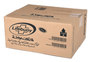 Regular Slotted Container (Rectangle)