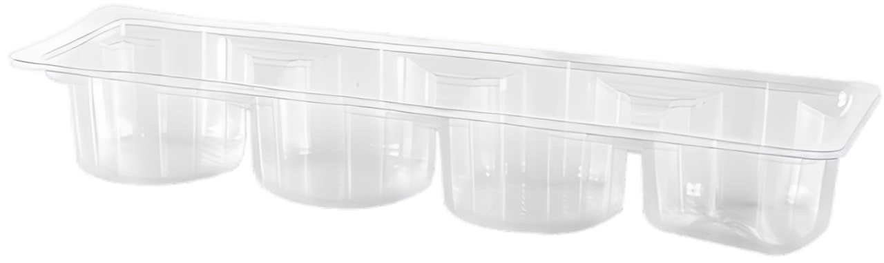 Plastic Food Container