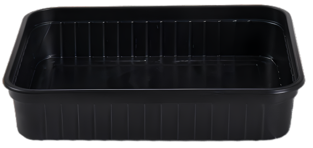 Plastic Food Container